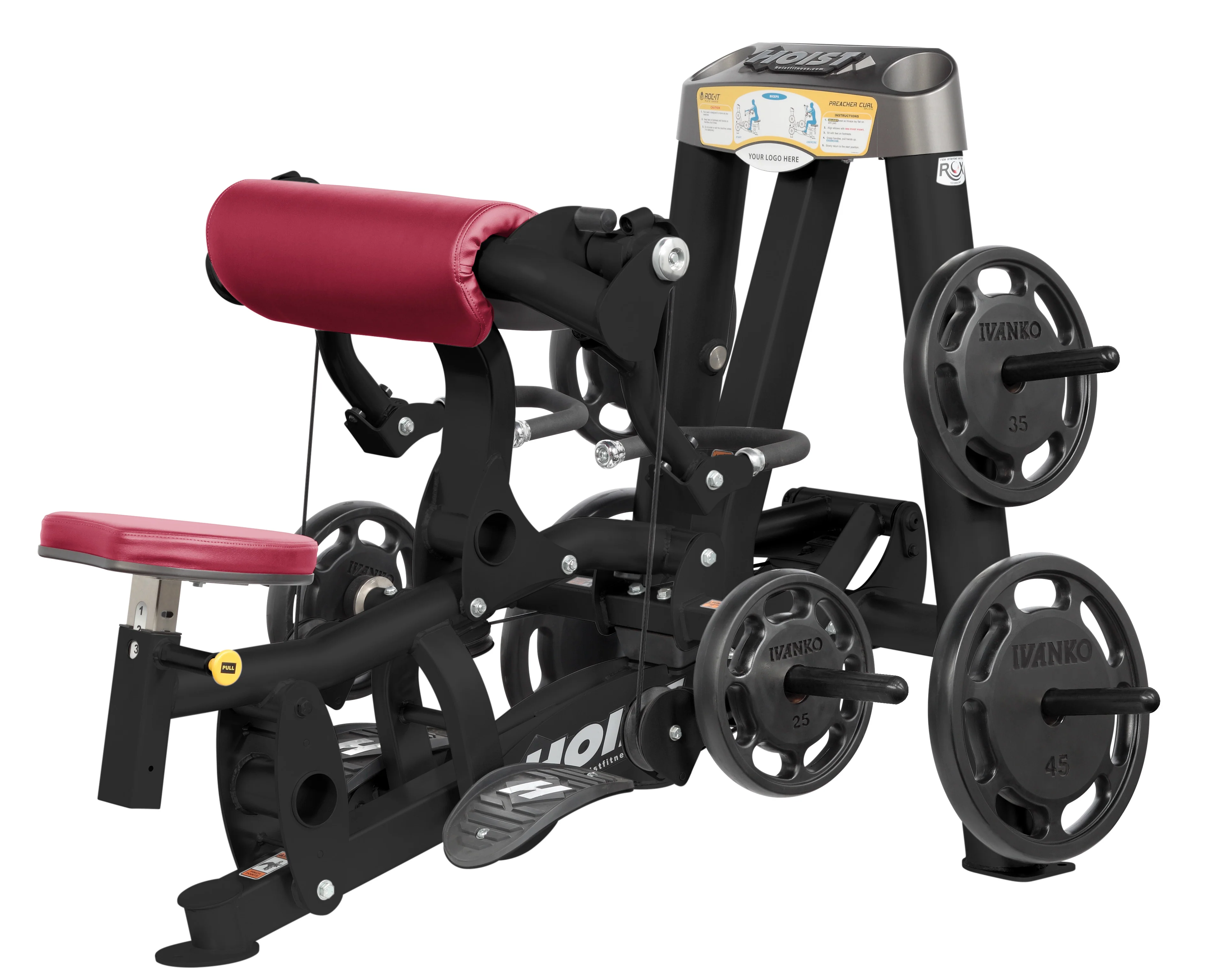 Biceps Curl - Image 16